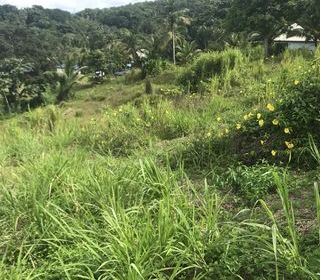  Terrain � vendre 1501 m�