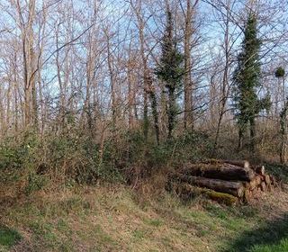  Terrain � vendre 24045 m�