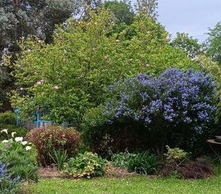  Maison � vendre 5 pi�ces 133 m�