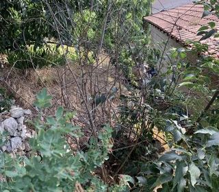  Terrain � vendre 520 m�