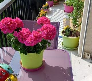  Appartement � vendre 3 pi�ces 66 m�