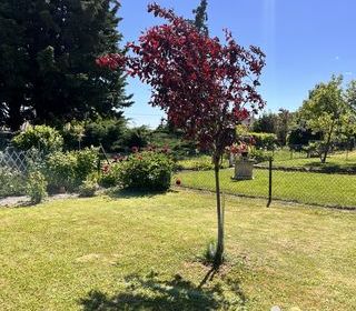  Maison � vendre 3 pi�ces 53 m�