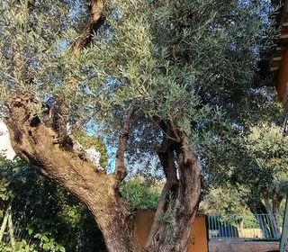  Maison � vendre 6 pi�ces 106 m�