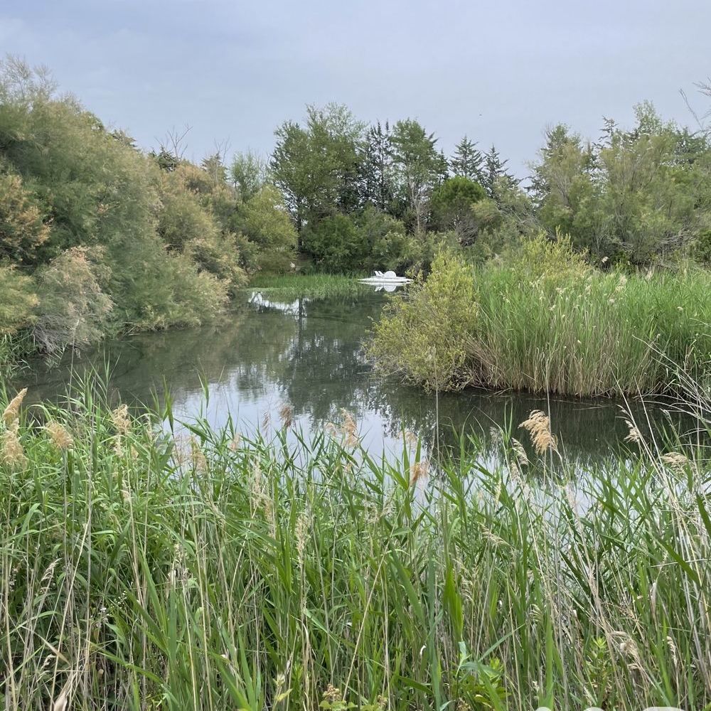 � vendre  Maison Cuxac-d'Aude (11590)