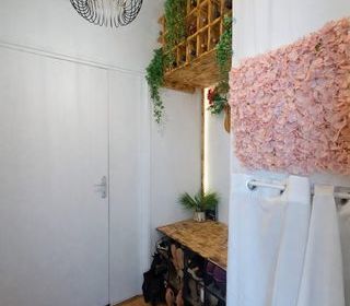  Appartement � vendre 3 pi�ces 50 m�