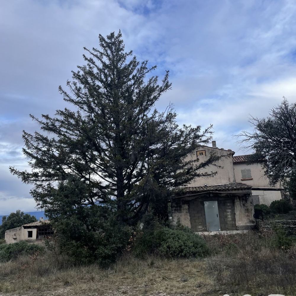 � vendre  Maison Venasque (84210)