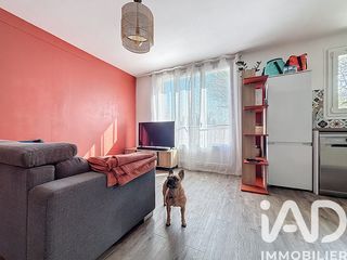  Appartement � louer 3 pi�ces 55 m�