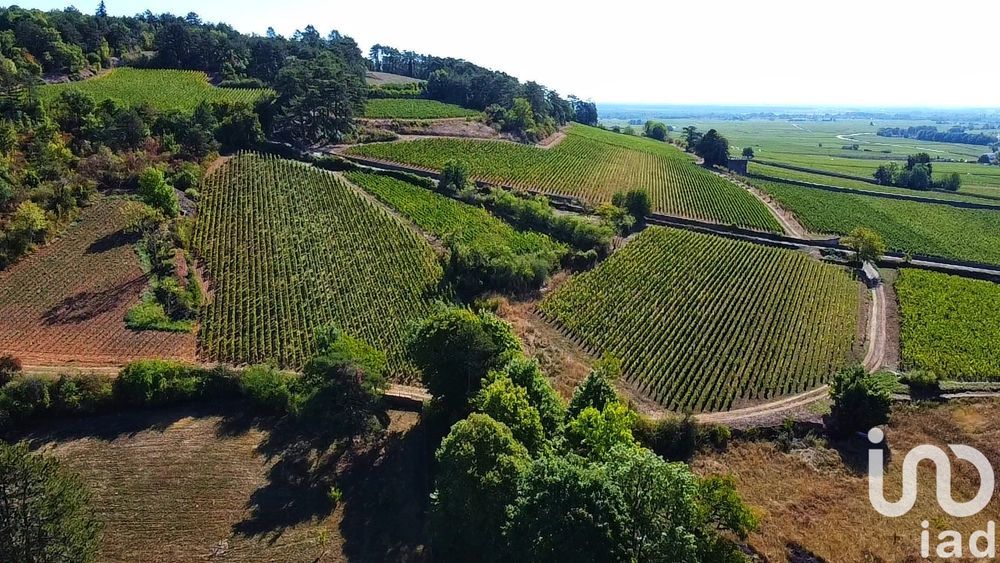 � vendre  Maison Beaune (21200)