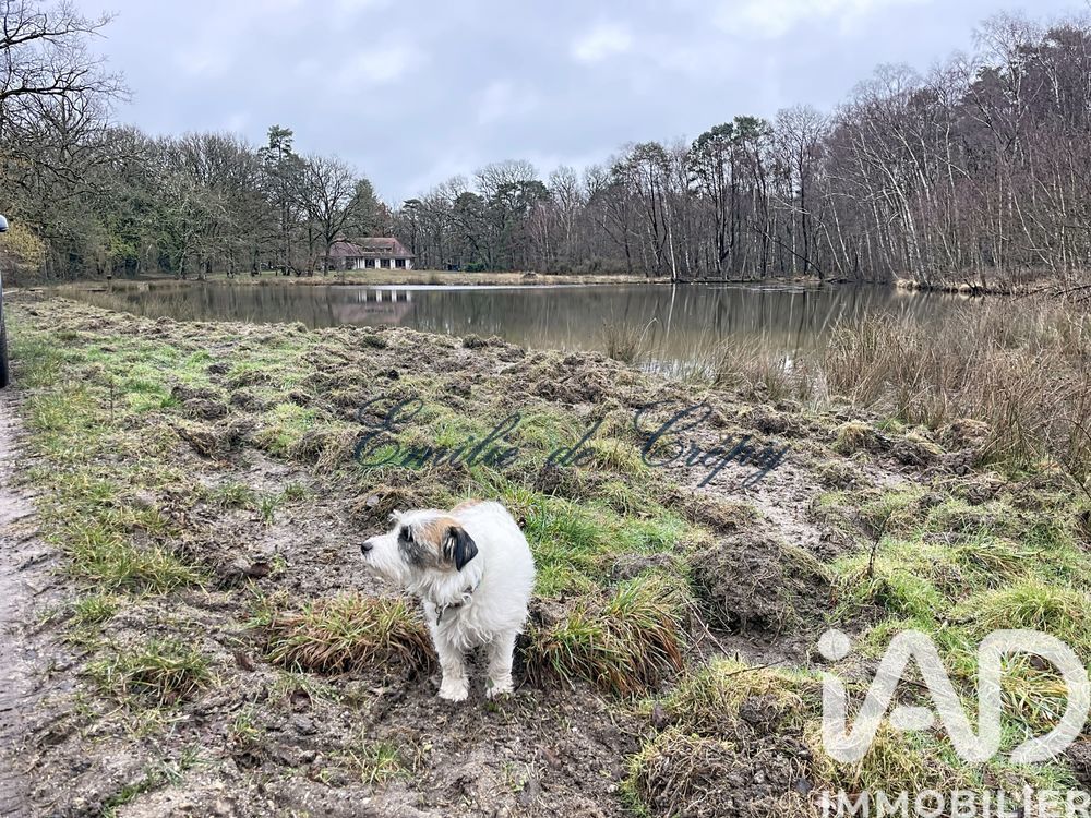 � vendre  Maison Lamotte-Beuvron (41600)