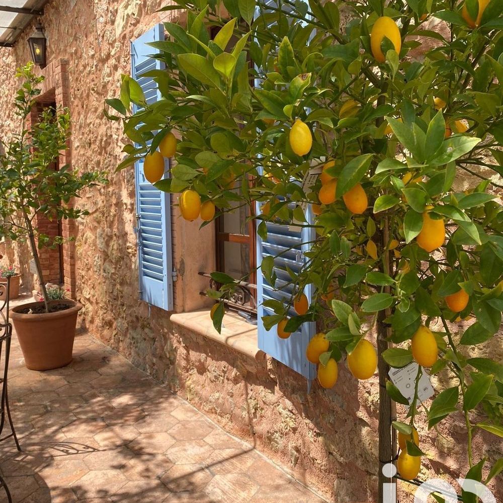 � vendre  Maison Le Cannet-des-Maures (83340)