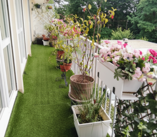  Appartement � vendre 3 pi�ces 62 m�