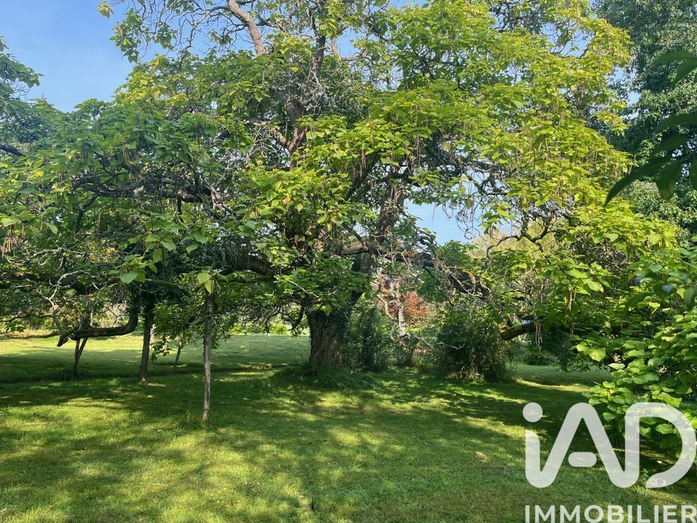 � vendre  Maison Ternay (41800)