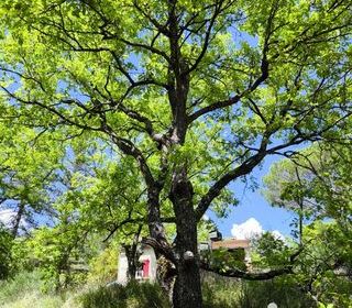  Maison � vendre 6 pi�ces 123 m�