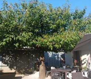  Maison � vendre 6 pi�ces 138 m�