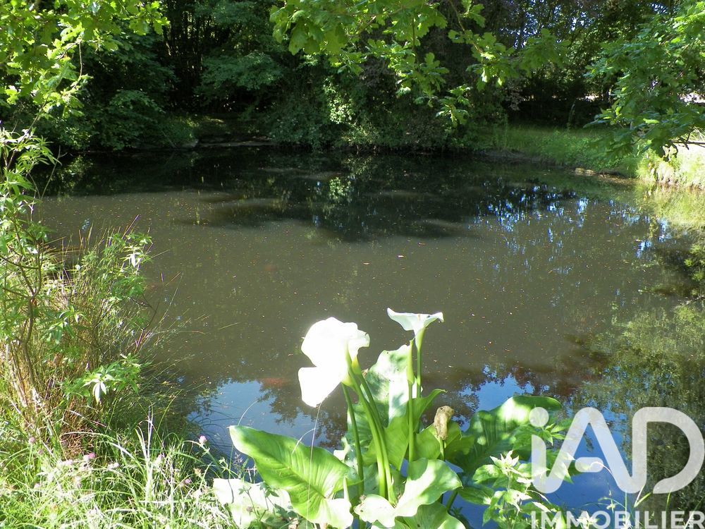 � vendre  Villa Briis-sous-Forges (91640)