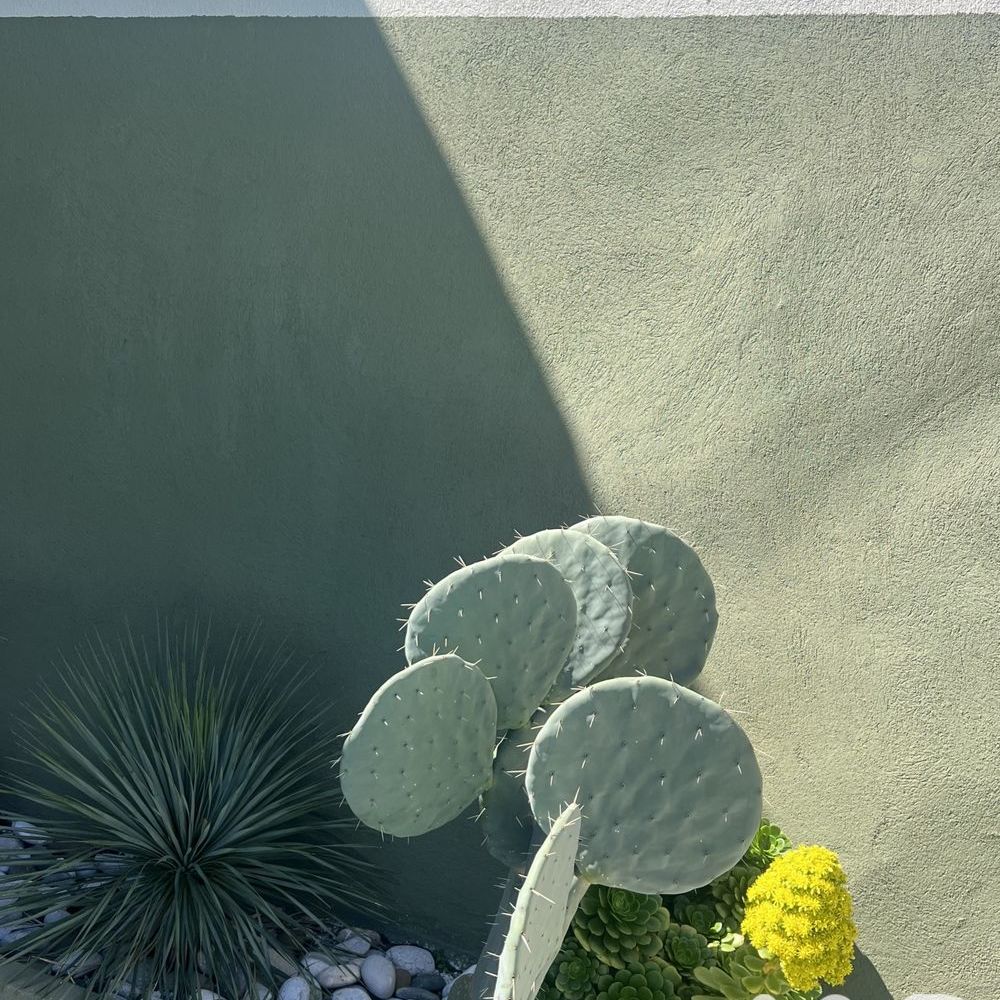 � vendre  Maison La Garde-Freinet (83680)