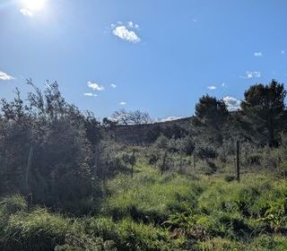  Terrain � vendre 4880 m�