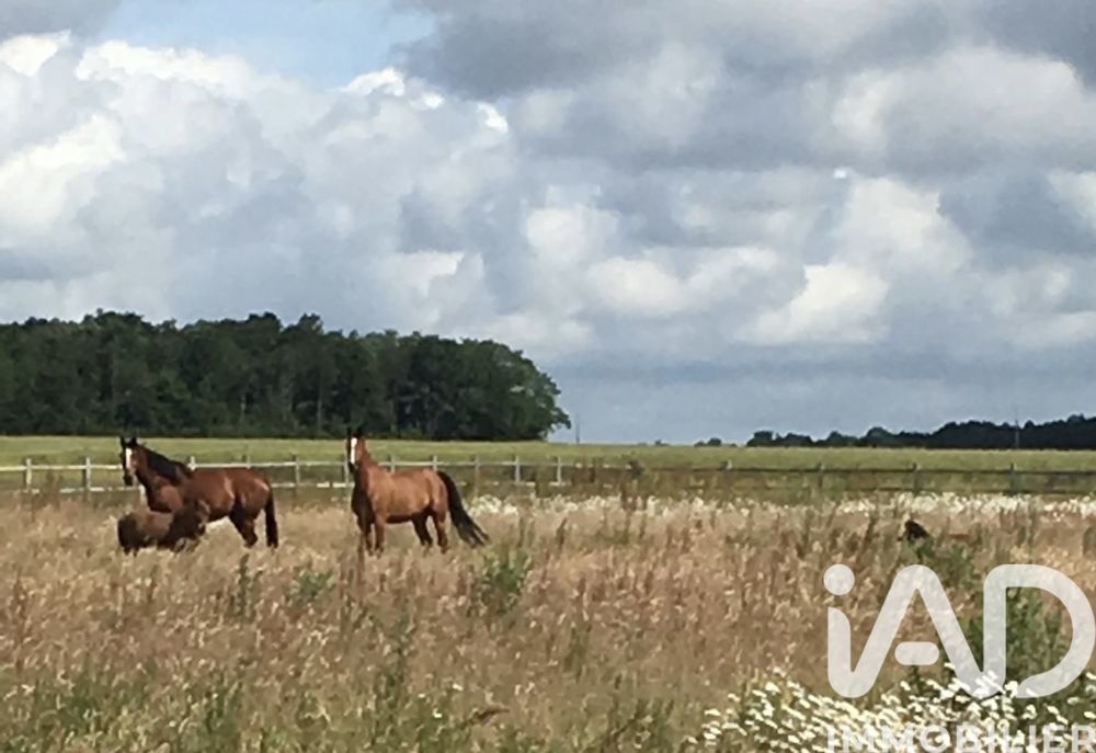 � vendre  Maison Nouzilly (37380)