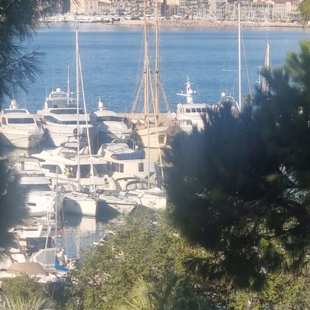 � vendre  Appartement Cannes (06400)