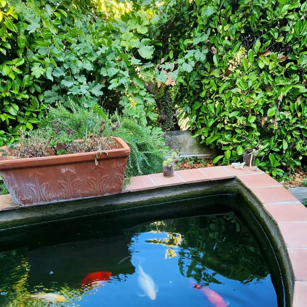 � vendre  Maison Vence (06140)