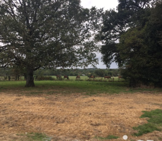  Terrain � vendre 3727 m�