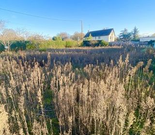  Terrain � vendre 812 m�