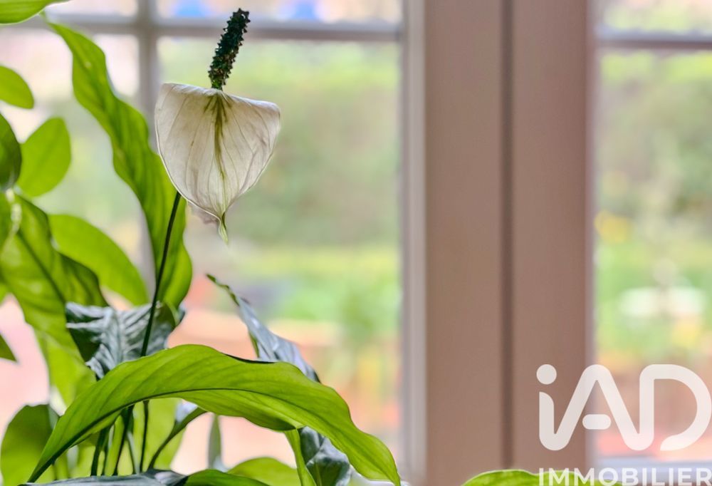 � vendre  Maison Toulon (83000)