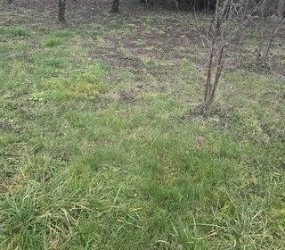  Terrain � vendre 585 m�