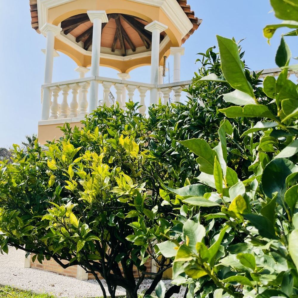 � vendre  Maison Saint-Rapha�l (83700)