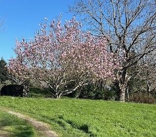  Maison � vendre 3 pi�ces 80 m�