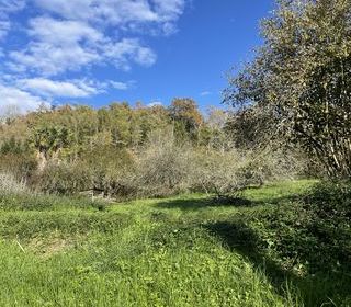  Terrain � vendre 9264 m�