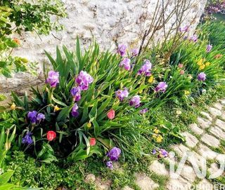  Maison � vendre 8 pi�ces 570 m�