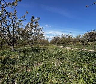  Terrain � vendre 103160 m�