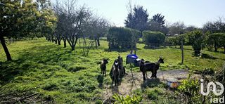  Maison � vendre 7 pi�ces 115 m�