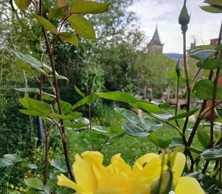  Maison � vendre 14 pi�ces 238 m�