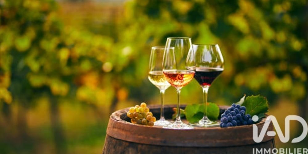 � vendre  Maison L'Isle-sur-la-Sorgue (84800)