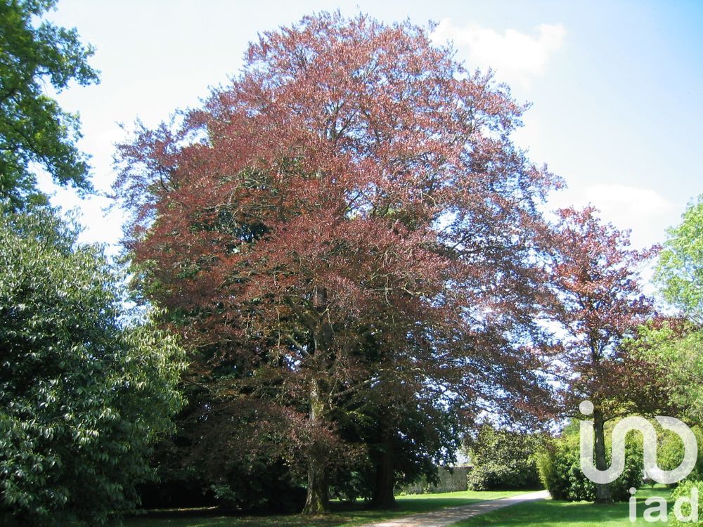 � vendre  Propri�t�/ch�teau Saint-Denis-la-Chevasse (85170)