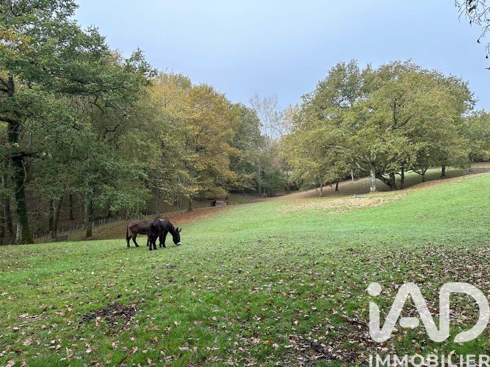 � vendre  Maison Urcuit (64990)