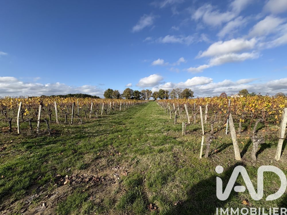 � vendre  Maison Lussac (33570)