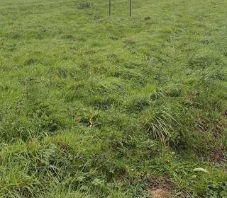  Terrain � vendre 2208 m�