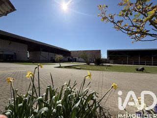  Maison � vendre 8 pi�ces 250 m�