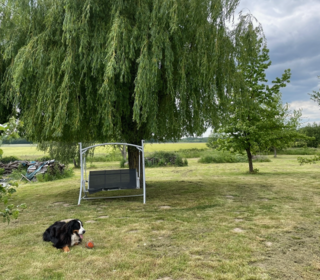  Maison � vendre 6 pi�ces 165 m�