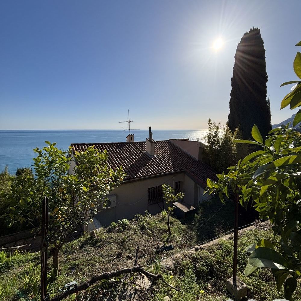 � vendre  Maison Roquebrune-Cap-Martin (06190)