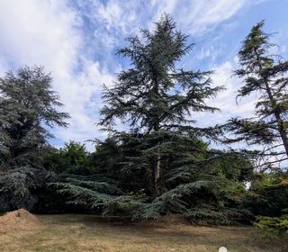  Terrain � vendre 7318 m�