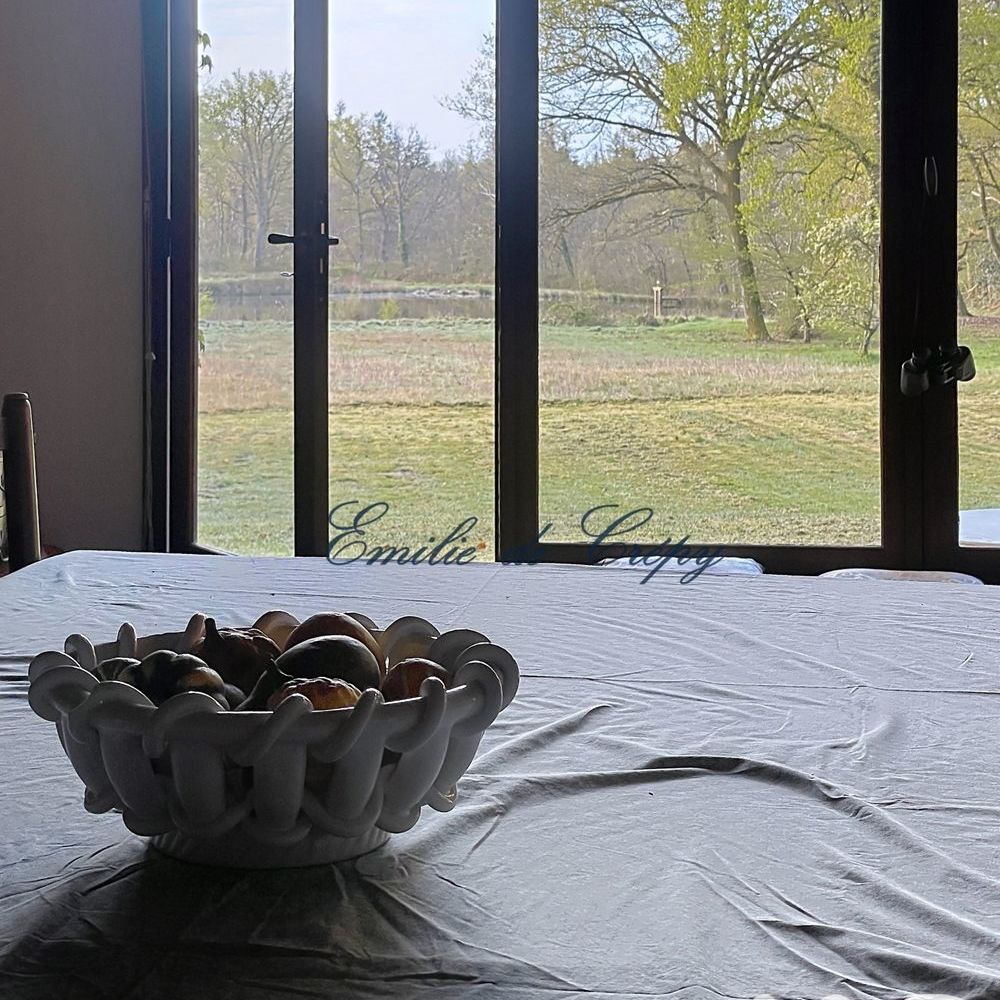 � vendre  Maison Lamotte-Beuvron (41600)