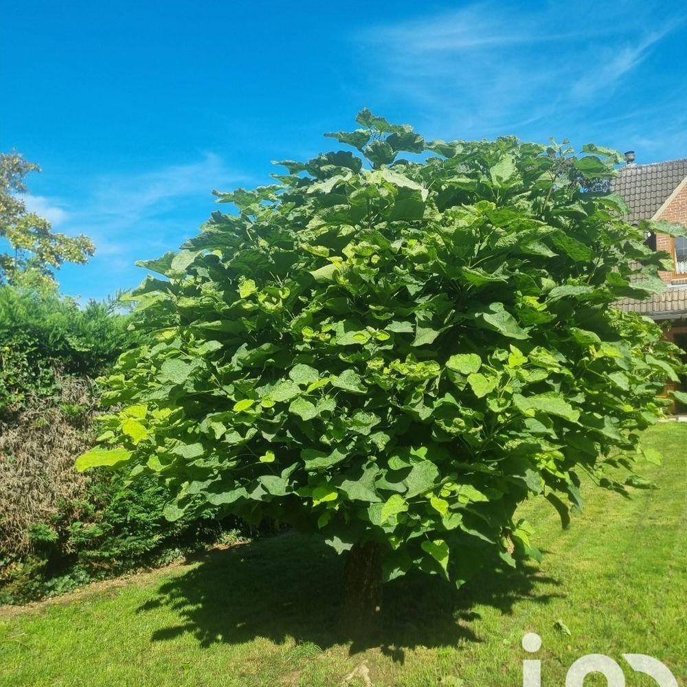 � vendre  Maison Villeneuve-d'Ascq (59650)