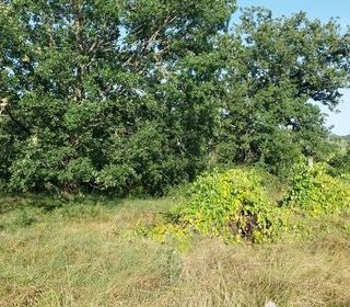  Terrain � vendre 3300 m�