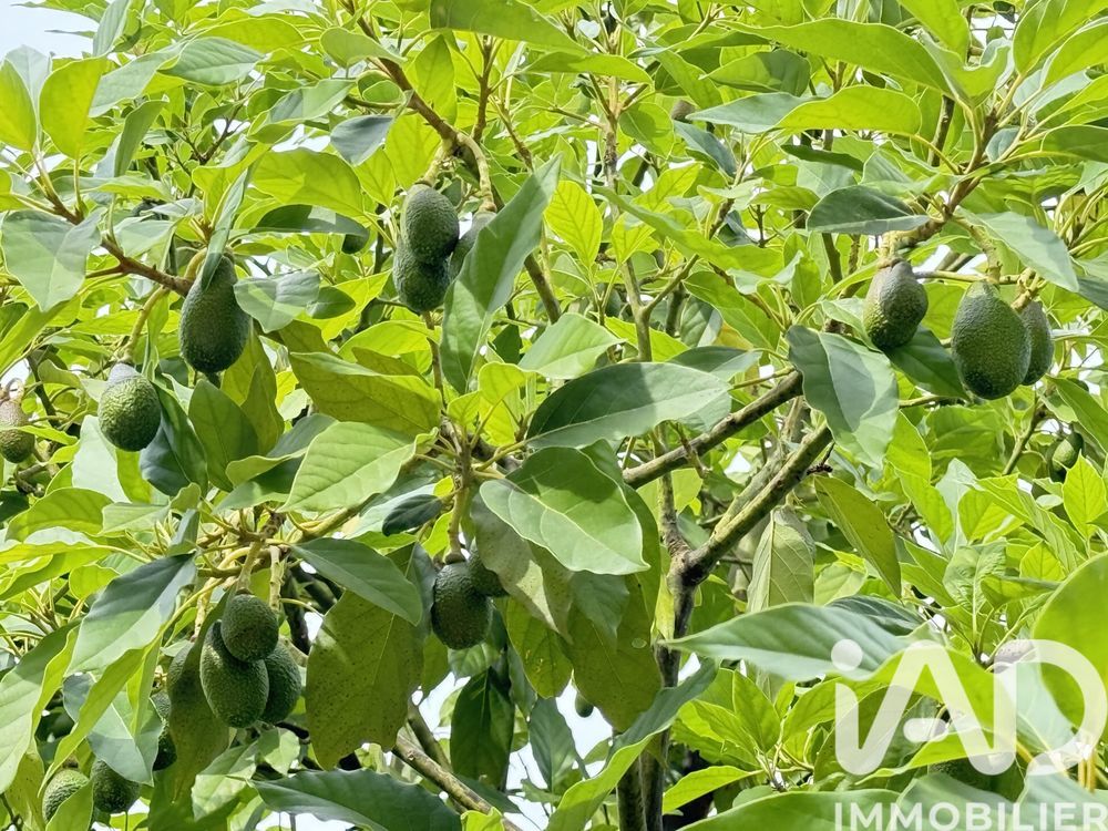 � vendre  Maison Cagnes-sur-Mer (06800)