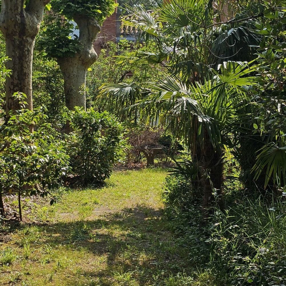 � vendre  Propri�t�/ch�teau Gr�piac (31190)