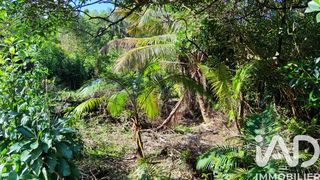  Terrain � vendre 439 m�